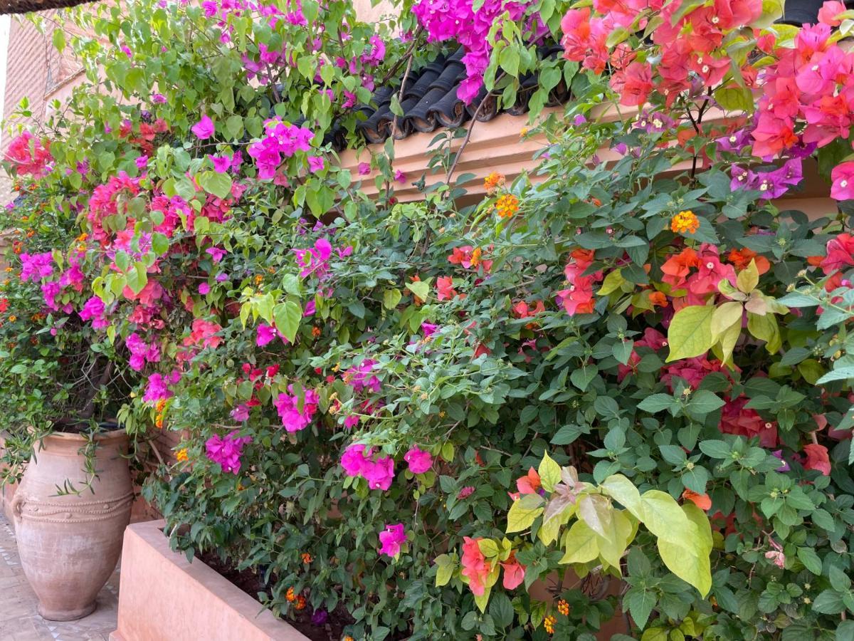 Riad Zouhour Marrakesz Zewnętrze zdjęcie