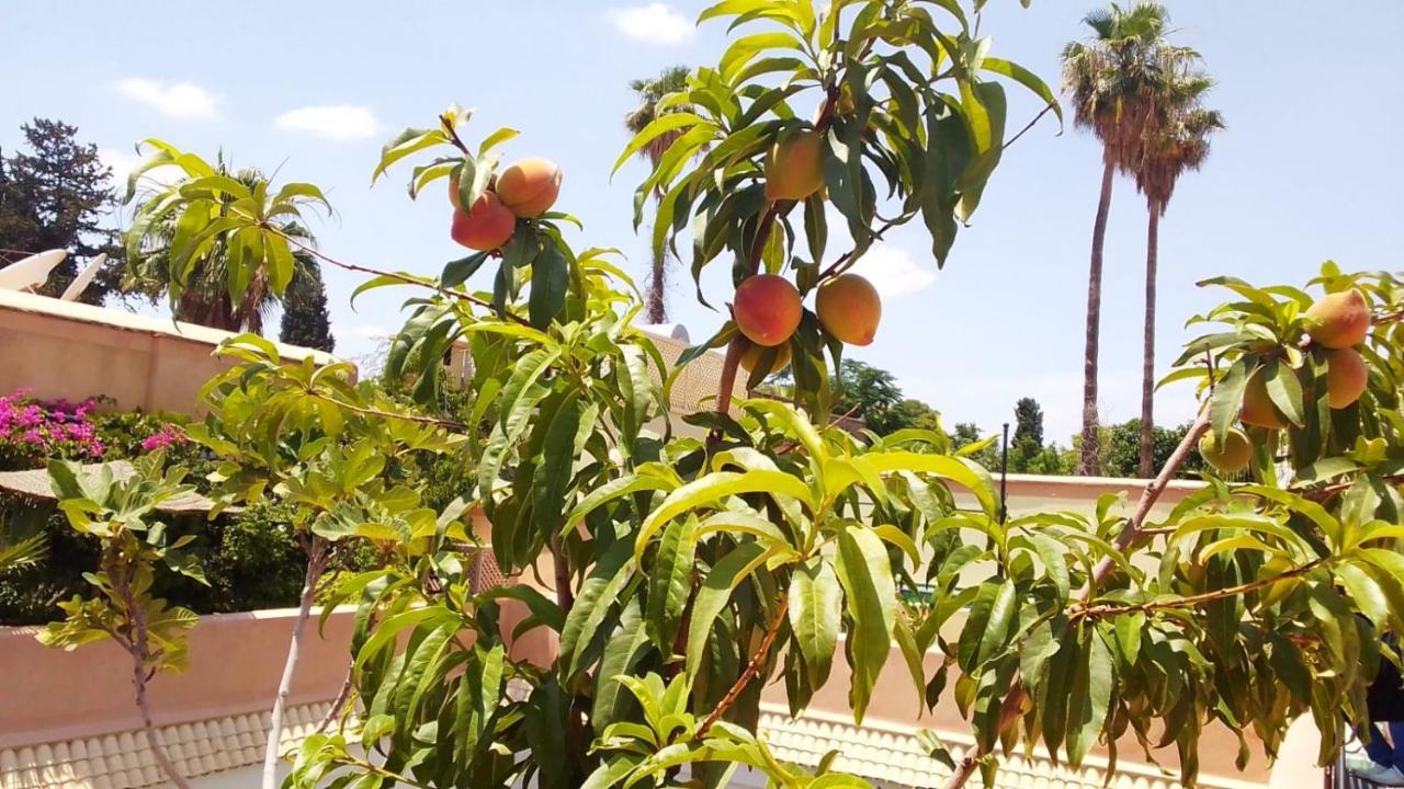 Riad Zouhour Marrakesz Zewnętrze zdjęcie
