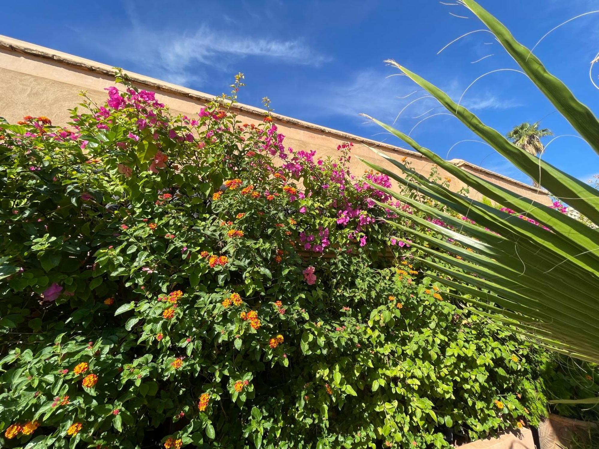 Riad Zouhour Marrakesz Zewnętrze zdjęcie