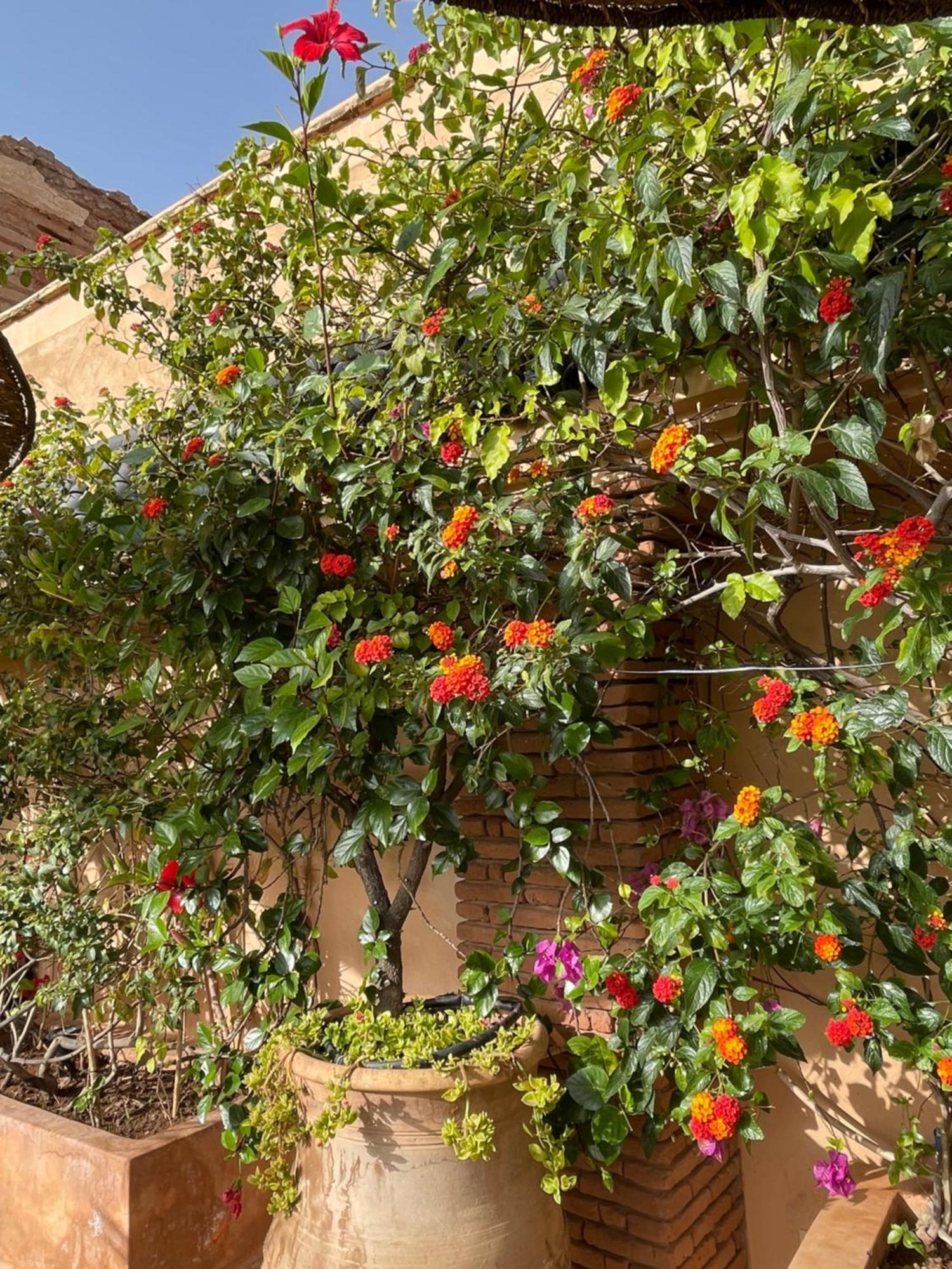 Riad Zouhour Marrakesz Zewnętrze zdjęcie
